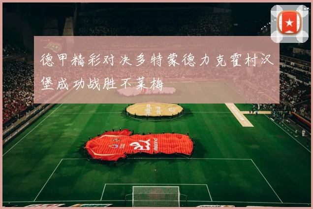 德甲精彩对决多特蒙德力克霍村汉堡成功战胜不莱梅