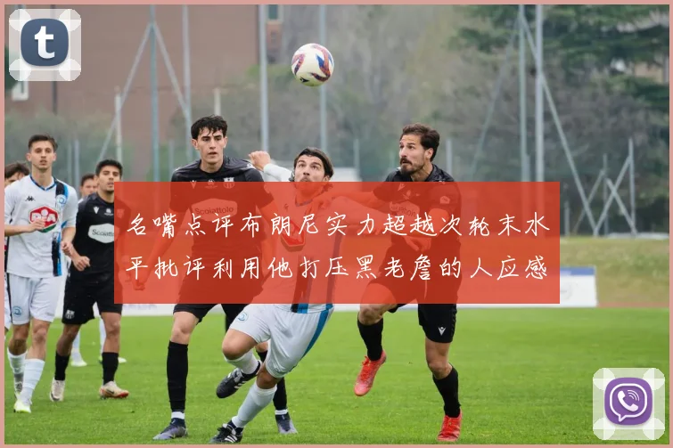 名嘴点评布朗尼实力超越次轮末水平批评利用他打压黑老詹的人应感羞愧