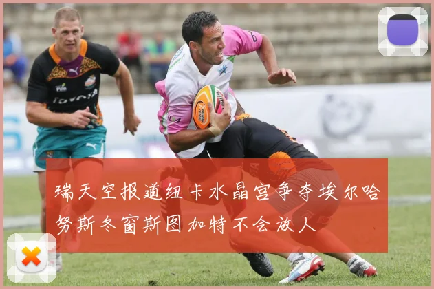 瑞天空报道纽卡水晶宫争夺埃尔哈努斯冬窗斯图加特不会放人